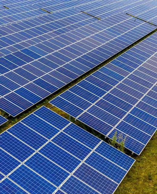 wmremove-transformed (1)