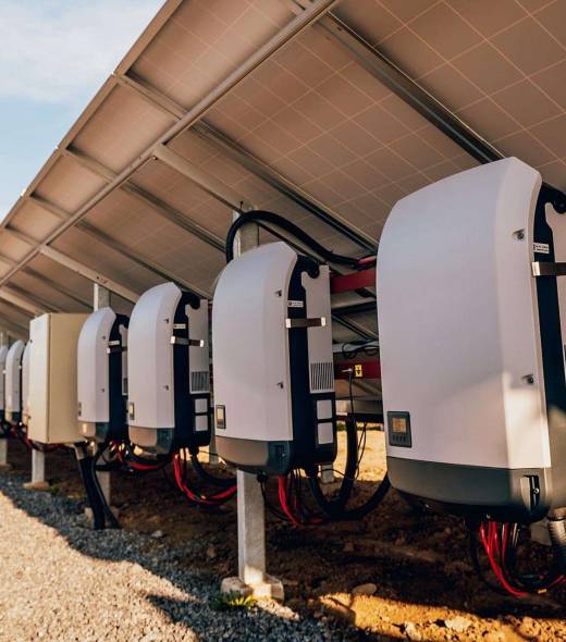 wmremove-transformed (2) (1)